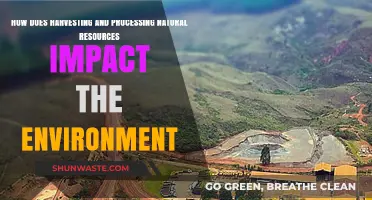 Harvesting and Processing Natural Resources: Environmental Impacts and Sustainability