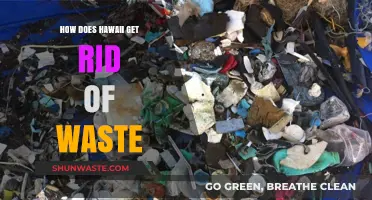 Hawaii's Waste Management: Sustainable Solutions for a Greener Island Paradise