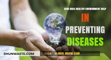 Clean Air, Pure Water: How Healthy Environments Prevent Diseases
