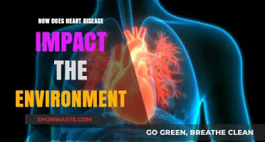 Heart Disease's Hidden Toll: Environmental Consequences of a Global Health Crisis