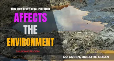 Heavy Metal Pollution: Environmental Impact and Toxic Legacy