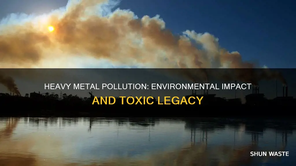 how does heavy metal pollution affects the environment