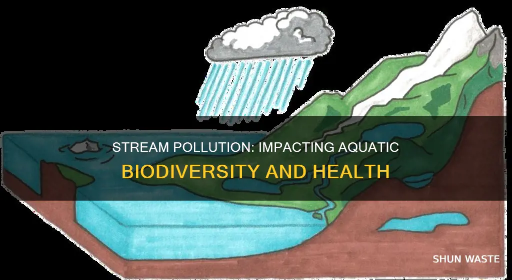 how does heavy pollution affect biodiversity in the stream