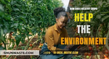 Sustainable Farming: How Healthy Crops Boost Environmental Health Naturally