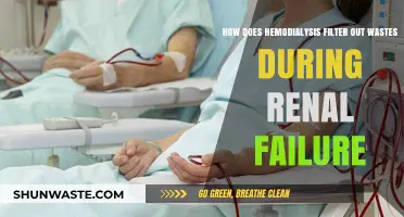 Hemodialysis: Filtering Wastes During Renal Failure - A Lifesaving Process