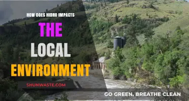 Hydropower's Environmental Impact: Assessing Local Ecosystem Changes and Effects