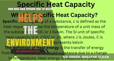 Water's High Specific Heat: A Key Environmental Stabilizer