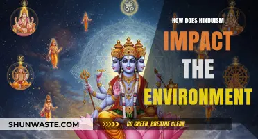 Hinduism's Eco-Philosophy: Sustainable Practices and Environmental Stewardship Explored
