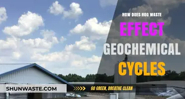 Hog Waste's Impact on Geochemical Cycles: Nutrient Disruption Explained