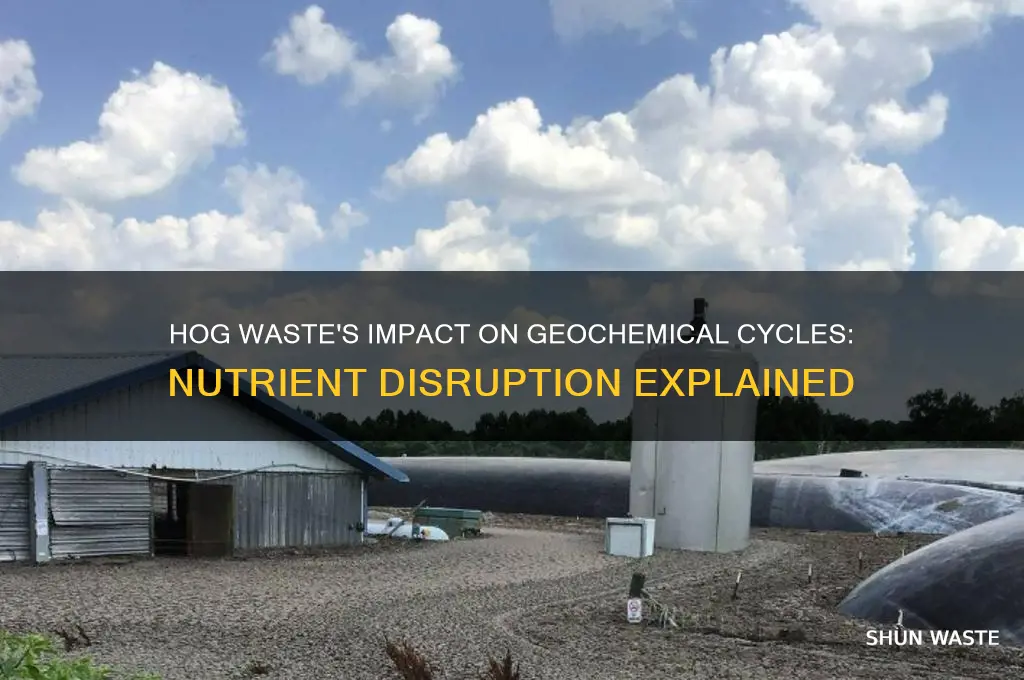 how does hog waste effect geochemical cycles
