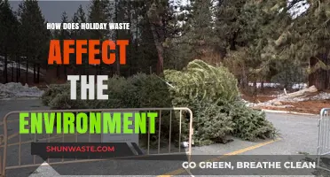 Holiday Waste's Environmental Impact: Unwrapping the Hidden Costs of Celebrations