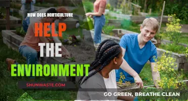 Horticulture's Green Impact: Enhancing Ecosystems and Reducing Carbon Footprints