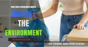 Household Waste's Environmental Impact: Unseen Consequences of Daily Disposal