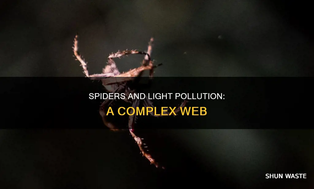 how does how does light pollution affect spiders