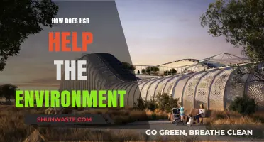 High-Speed Rail: A Sustainable Solution for Reducing Environmental Impact