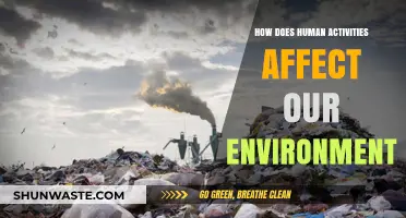 Human Impact: Unveiling Our Actions' Effects on the Environment