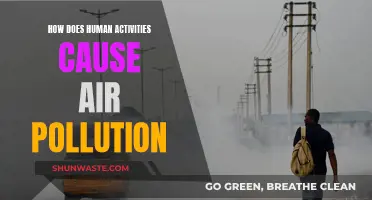 Human Activities: The Air Pollution Culprit
