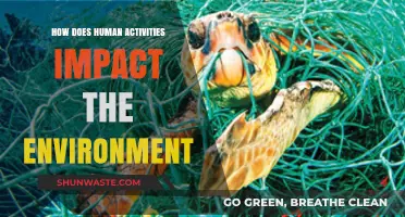 Human Actions, Environmental Consequences: Understanding Our Impact on the Planet