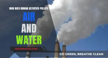 Human Activities: Polluting Our Air and Water
