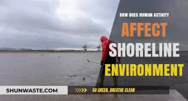 Human Impact on Shorelines: Threats, Changes, and Conservation Efforts