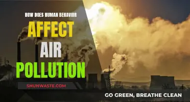 Human Behavior's Impact on Air Pollution