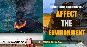 Human Actions, Environmental Consequences: Uncovering Our Destructive Impact