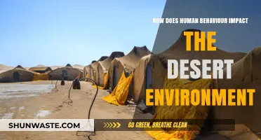 Human Actions, Desert Reactions: Understanding Our Impact on Fragile Ecosystems