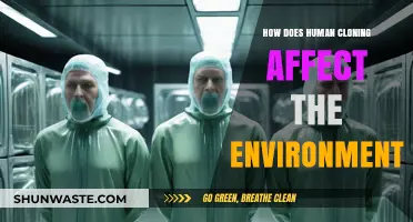 Human Cloning's Environmental Impact: Ethical Concerns and Ecological Consequences
