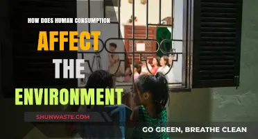 Human Consumption's Impact: Environmental Consequences and Sustainable Solutions