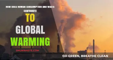 Human Consumption, Waste, and Their Role in Global Warming