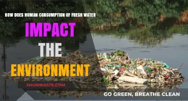 Fresh Water Consumption: Environmental Impacts and Sustainable Solutions