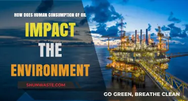 Human Oil Consumption: Environmental Consequences and Sustainable Alternatives