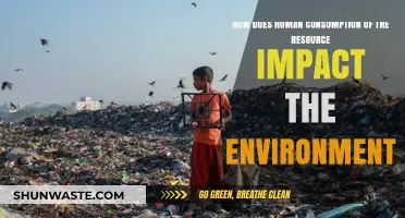 Human Consumption Patterns: Environmental Impacts and Sustainable Solutions