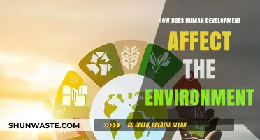 Human Development's Environmental Impact: Challenges and Sustainable Solutions