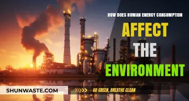 Human Energy Consumption: Environmental Impacts and Sustainable Solutions Explored