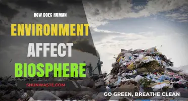 Human Impact on the Biosphere: Exploring Our Environmental Footprint