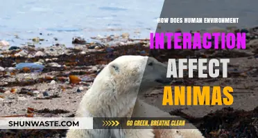 Human-Environment Interaction: Impacts on Animal Habitats and Survival