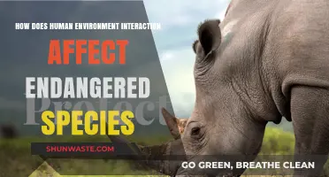 Human-Environment Interaction: Impact on Endangered Species Survival and Conservation