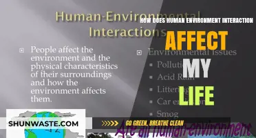 Human-Environment Interaction: Shaping Daily Life and Personal Well-Being