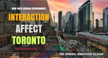 Toronto's Urban Evolution: Human-Environment Interaction Shaping the City's Future