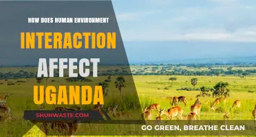 Human-Environment Interaction: Shaping Uganda's Landscape and Future