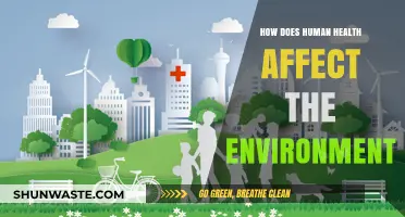 Human Health's Environmental Impact: A Complex Interconnection Explored