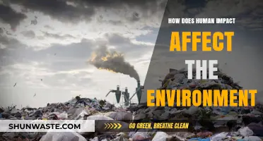 Human Impact on the Environment: Causes, Consequences, and Solutions