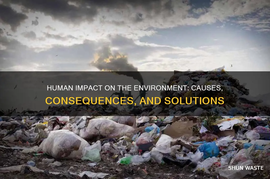 how does human impact affect the environment