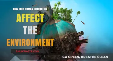 Human Connections: Shaping Our Environment Through Daily Interactions