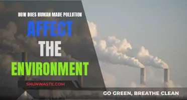 Human Pollution's Environmental Impact: Understanding the Devastating Effects