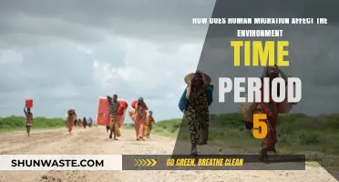 Human Migration's Environmental Impact: Shaping Ecosystems Across Time Period 5