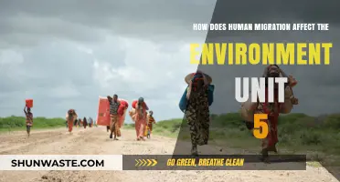 Human Migration's Environmental Impact: Exploring Unit 5's Ecological Consequences