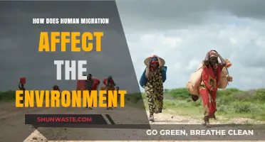 Human Migration's Environmental Impact: Challenges and Sustainable Solutions