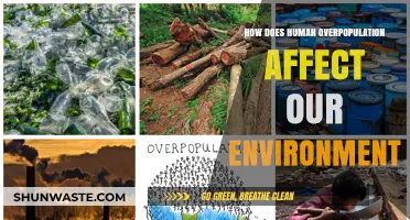 Overpopulation's Impact: Environmental Consequences of a Growing Human Population